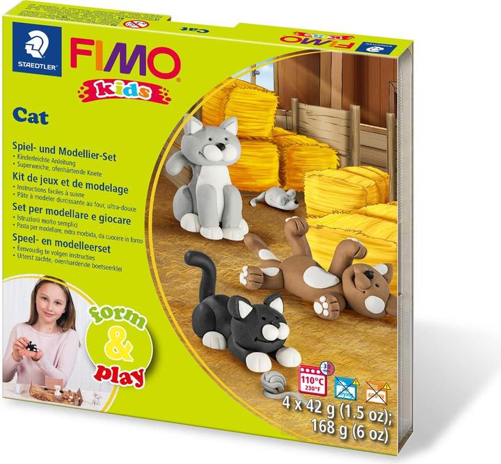 Actual product image Fimo Modelling clay