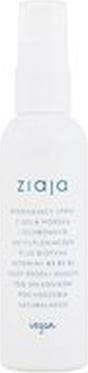 Actual product image Ziaja Limited Summer Modelling Sea Salt Hair Spray - For Wave Support - 90ml (90 ml)