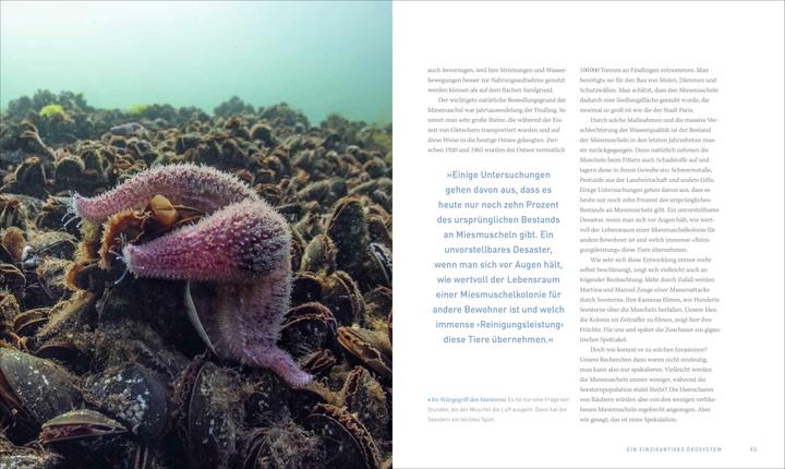 Image du produit Unsere Meere – Naturwunder Nord- und Ostsee (Allemand, Thomas Behrend, Martina Andrés, 2023)