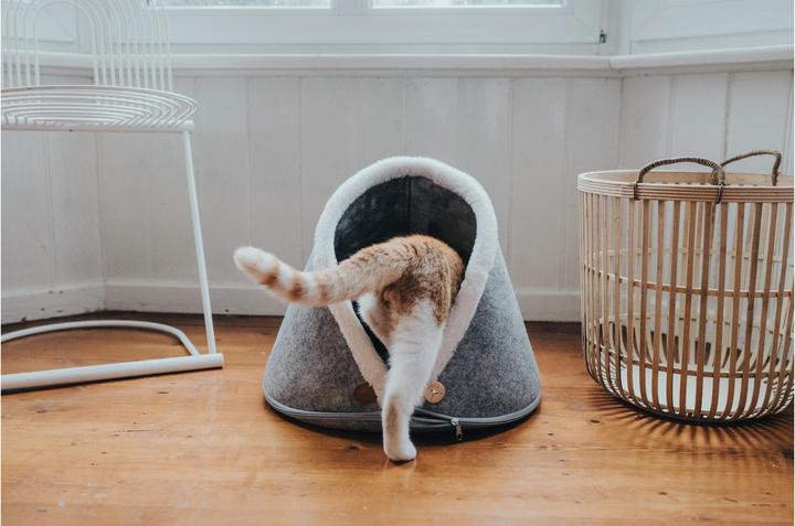 Immagine prodotto Hunter Gatto grotta Skive (Cane)