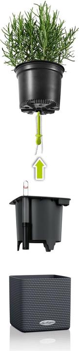 Produktbild Lechuza Green Wall Home Kit (15 cm)