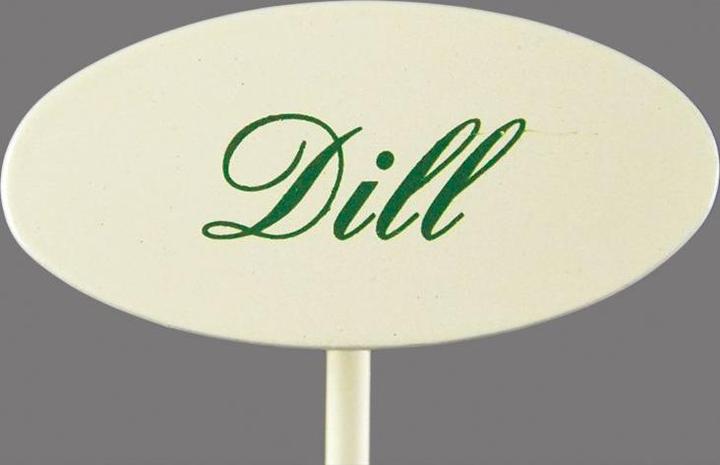 Spice plug dill (20 cm)