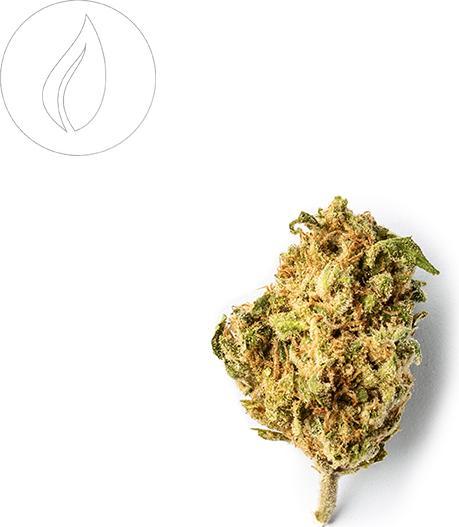 Image du produit Green Passion Passion Kush (10 g, Intérieur)