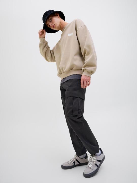Actual product image Jack & Jones Relaxed Fit Cargo-Hose Cargo-Hose (W32/L34)