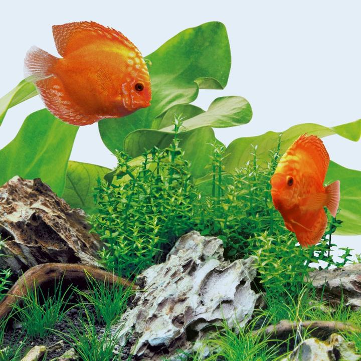 Immagine prodotto Juwel Aquarium Giorno del LED (LED, 19 W)