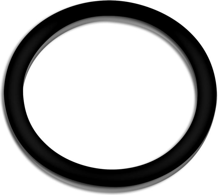 Actual product image SunSun Spare Part CBF-350B Gasket Bio Pond Filter