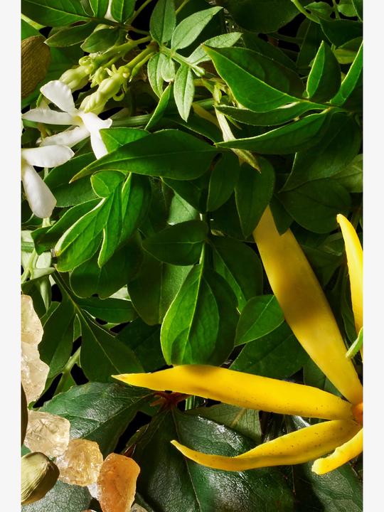 Actual product image Molton Brown Relaxing Ylang-Ylang (300 ml)
