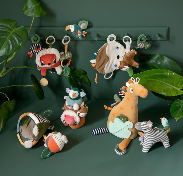 Actual product image Sebra Activity rattle, mirror, Tully the toucan