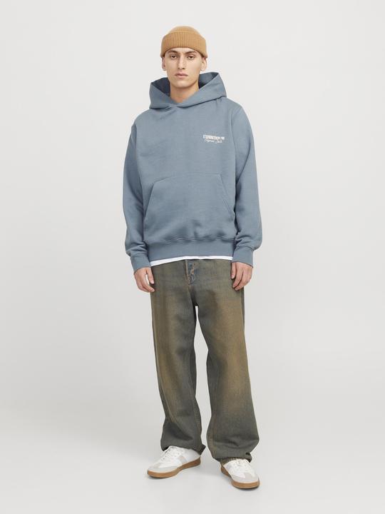 Image du produit Jack & Jones Jorroxbury Back Sweat Hood Ln (M)