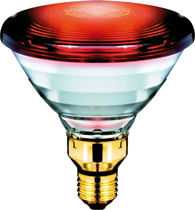 Actual product image Philips Infrared lamp (150 W)