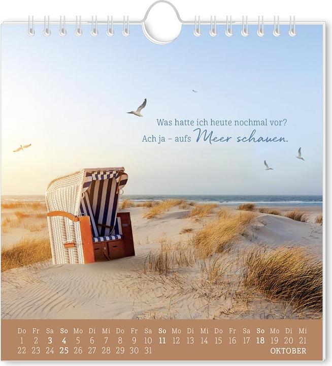 Image du produit Postkartenkalender 2026 Strandgut (16 x 17 cm, Allemand)