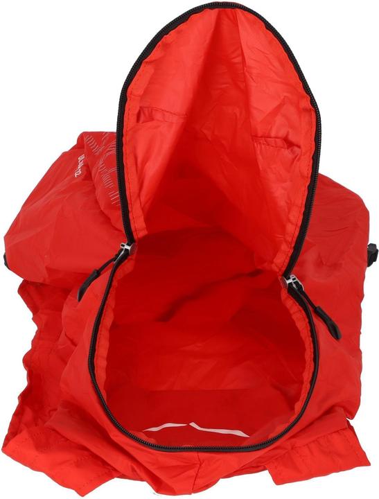 Actual product image Salewa Ultralight L Backpack (22 l)