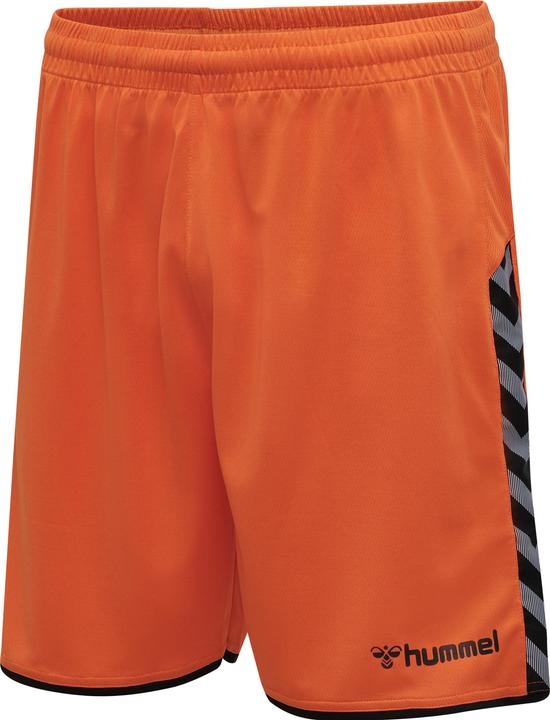 Image du produit hummel Short Poly Authentique (L)
