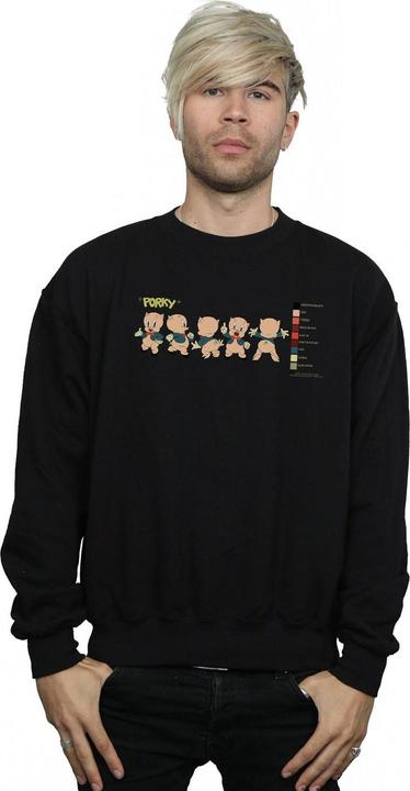 Image du produit Looney Tunes - Sweat PORKY PIG COLOUR CODE - Homme (XXL)