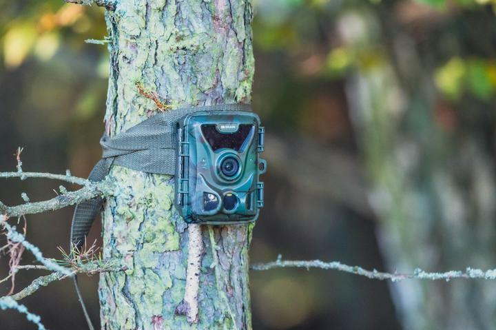 Produktbild Braun Photo Braun Scouting Cam Black200A mini