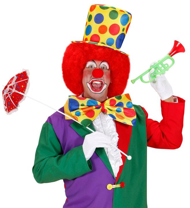 Actual product image Widmann Giant fly clown