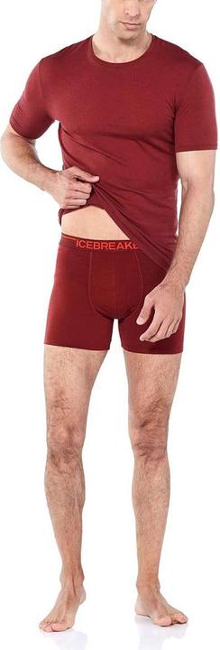 Image du produit Icebreaker Anatomica (S)