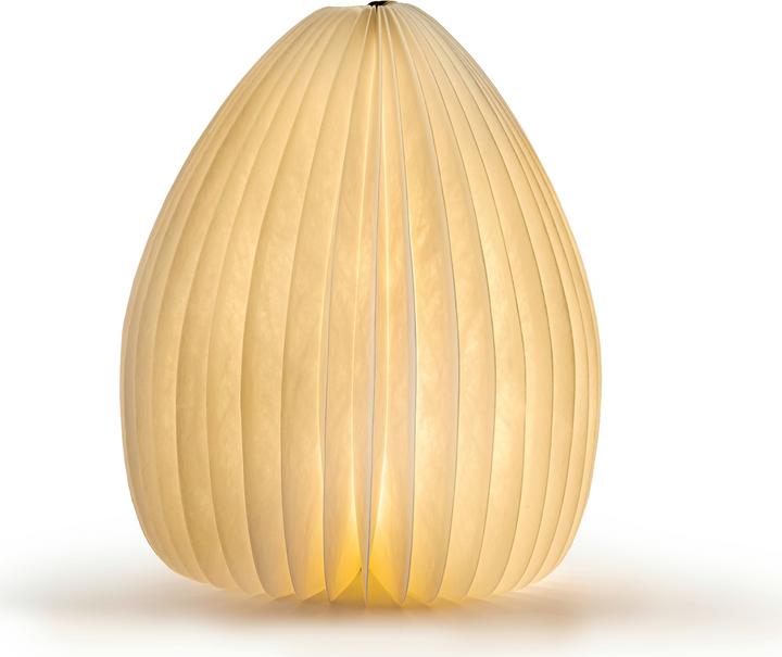 Gingko Smart Vase Light