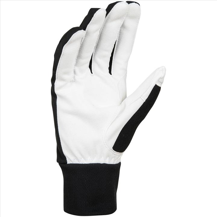 Produktbild Daehlie M Glove Race Warm (6)