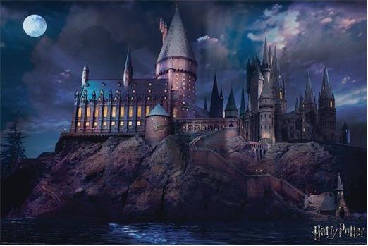 Image du produit Pyramid Harry Potter - Poudlard (61 x 91 cm)