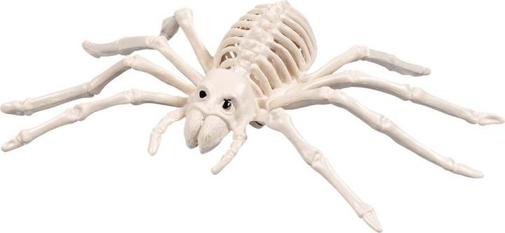 Image du produit Boland Squelette d'araignée (23 x 14 cm)