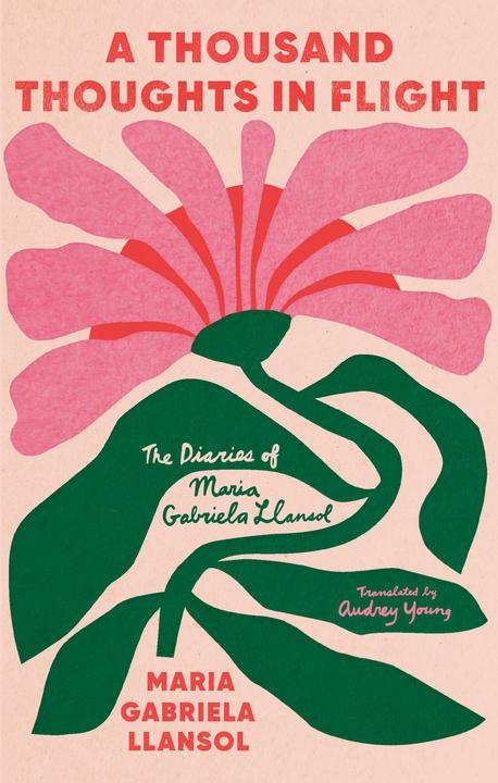 Produktbild A Thousand Thoughts in Flight (Englisch, Maria Gabriela Llansol, 2024)