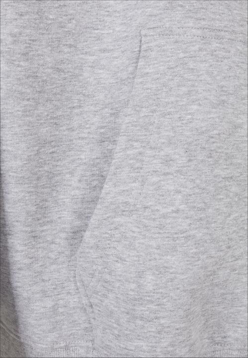 Produktbild Karl Kani KKMQ32061GRY Small Signature Hoodie ash grey - 16069 (L)