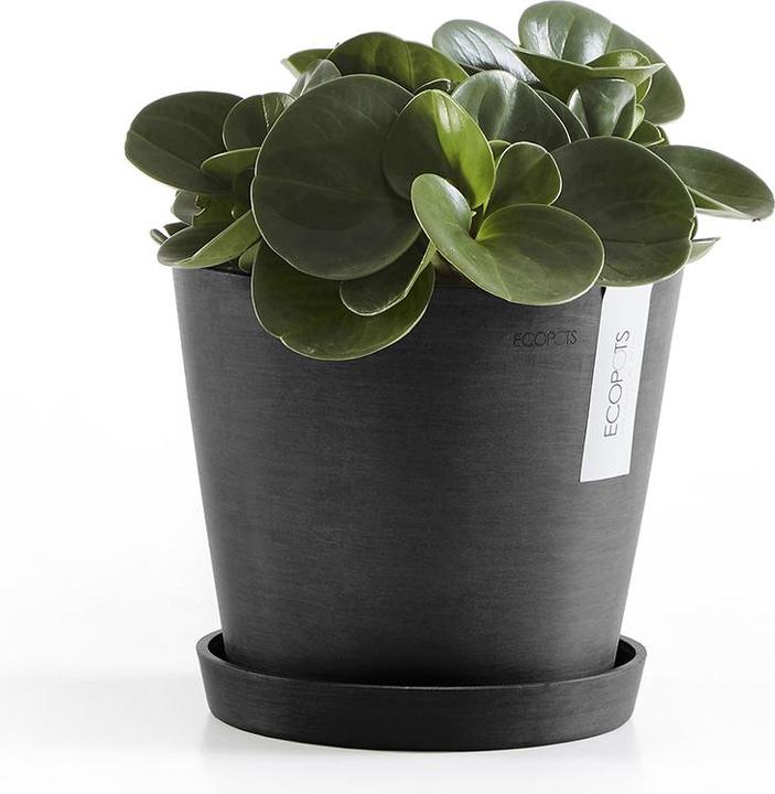 Produktbild Ecopots Saucer Round
