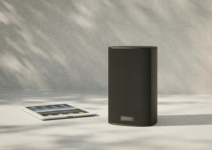 Actual product image Piega Ace 30 Wireless TX