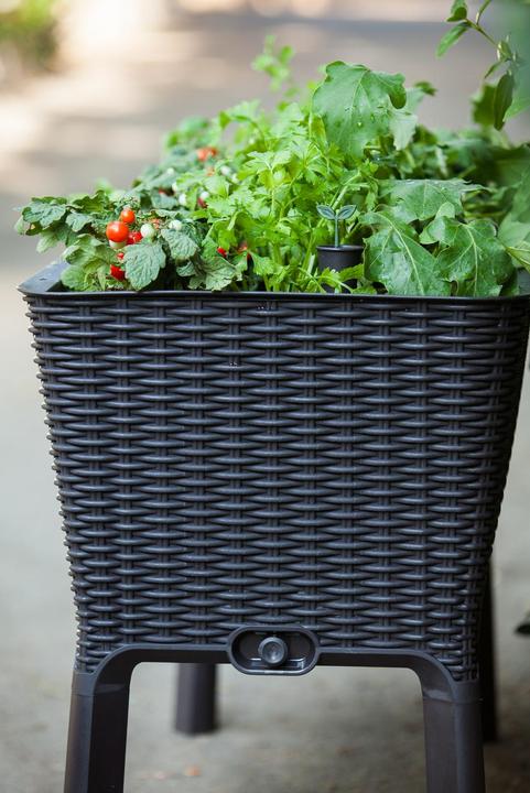 Produktbild Keter Easy Growing