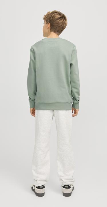 Immagine prodotto Jack & Jones Jjecaleb Varsity Sweat Crew Neck Sn Jnr (176)