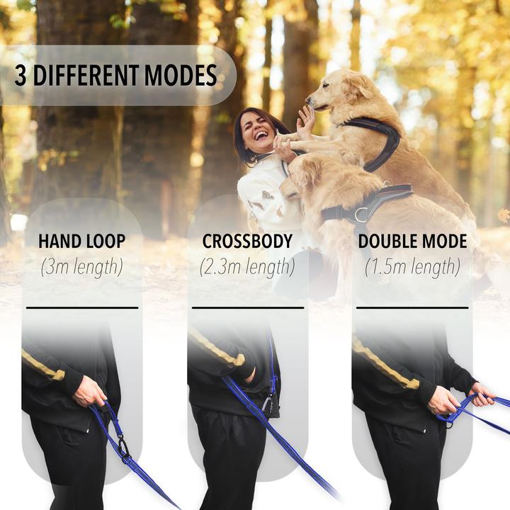 Actual product image Bluzelle 3m dog lead, double lead with carabiner, adjustable (Dog, Walks)