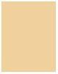 Actual product image Bioderma Sensibio (Clair Light)