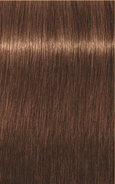 Immagine prodotto Schwarzkopf Professional Igora Royal Absolutes Age Blend (6-60 Cioccolato fondente biondo naturale)