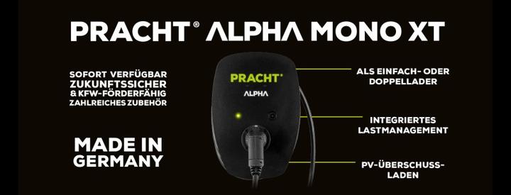 Actual product image Pracht NRG1024 (Type 2, 11 kW)