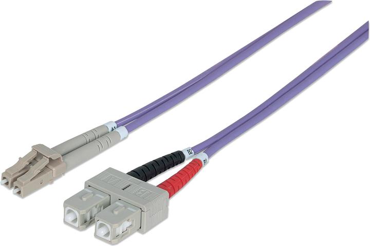 Image du produit Intellinet Câble réseau (CAT8.2, 2 m)