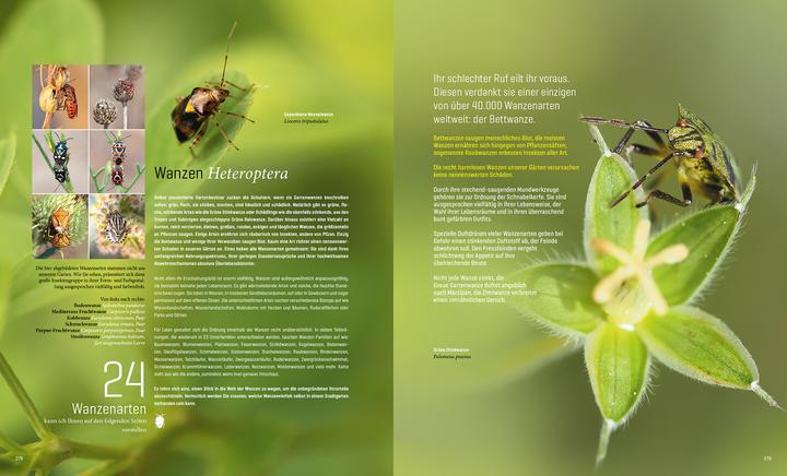 Actual product image Mein Artenretter Garten (German, Anja Eder, 2024)