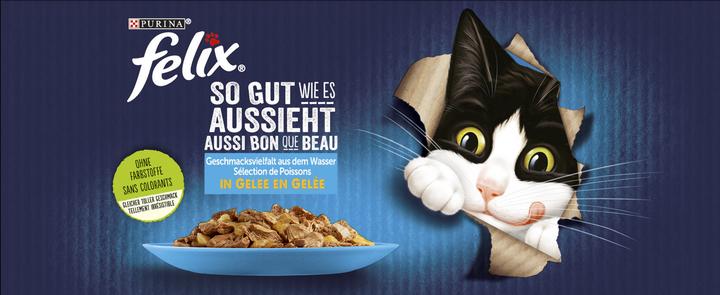Produktbild Felix Agail Fisch (Adult, 11 Stk., 1020 g)