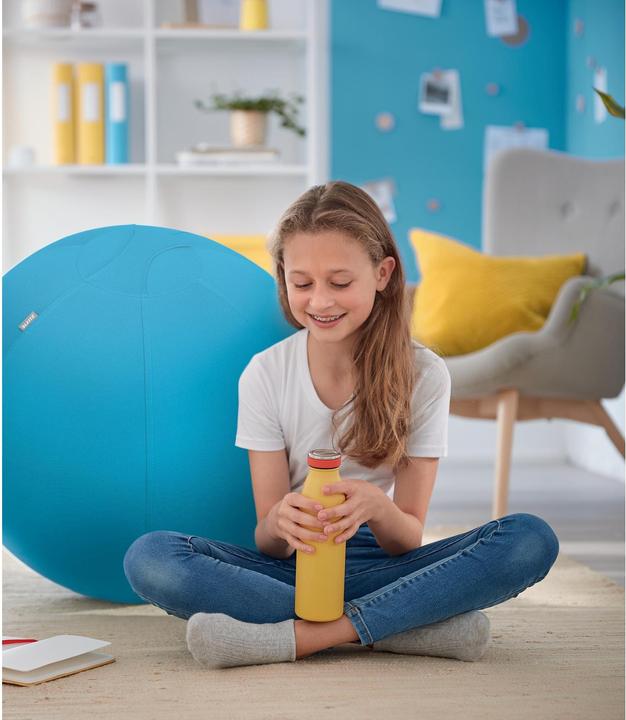 Produktbild Leitz Ergo Cosy Active Sitzball (65 cm)