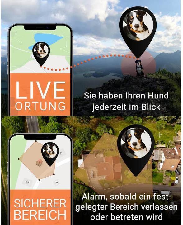 Image du produit PAJ GPS PET Finder 4G Tracker GSM Traceur pour animaux domestiques