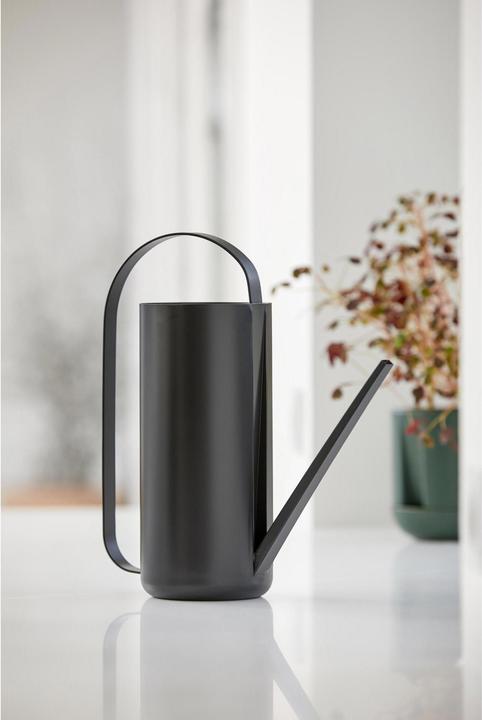 Immagine prodotto Zone Denmark Erba e germoglio (1.50 l)
