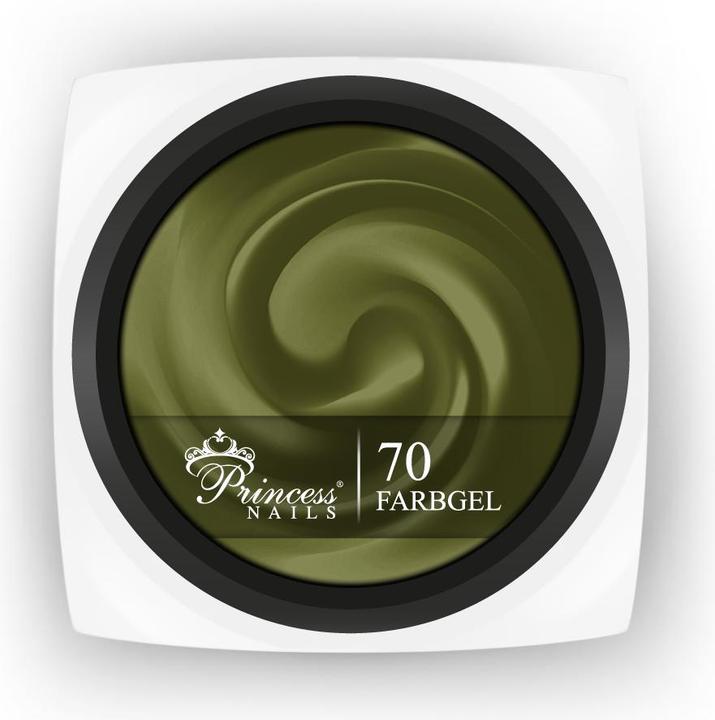 PrincessNails Farbgel 70