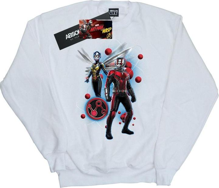 Jungen AntMan Und Die Wespe Partikel Pose Sweatshirt