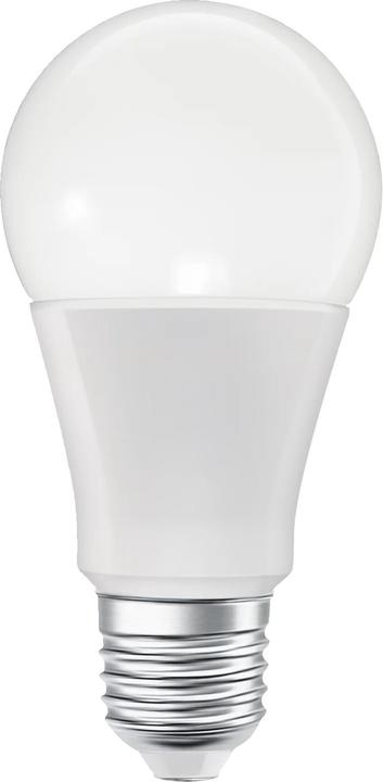 Actual product image Ledvance SMART+ MATTER CLASSIC A MULTICOLOR 9W 827...865 Multicolour E27 (E27, 9 W, 806 lm, 1 x, E)