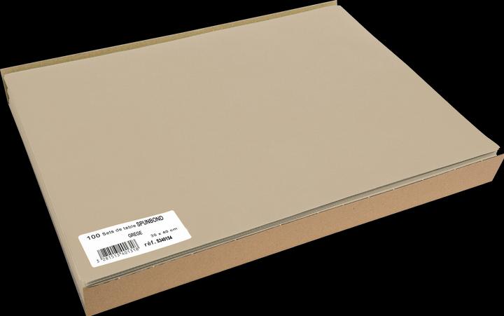 Actual product image Exacompta Placemats Sounbond S ilk, 30x40, Pk100 (100 x, 30 x 40 cm)