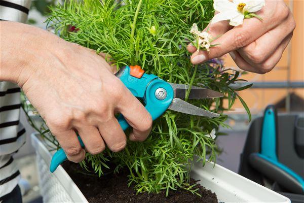 Produktbild Gardena City Gardening Balkon Box