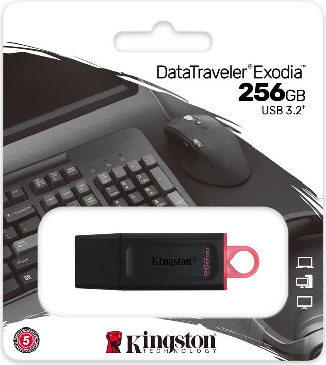 Produktbild Kingston MEMORY DRIVE FLASH USB3.2/256GB DTX/256GB (256 GB, USB 3.0, USB 3.1, USB 3.2)