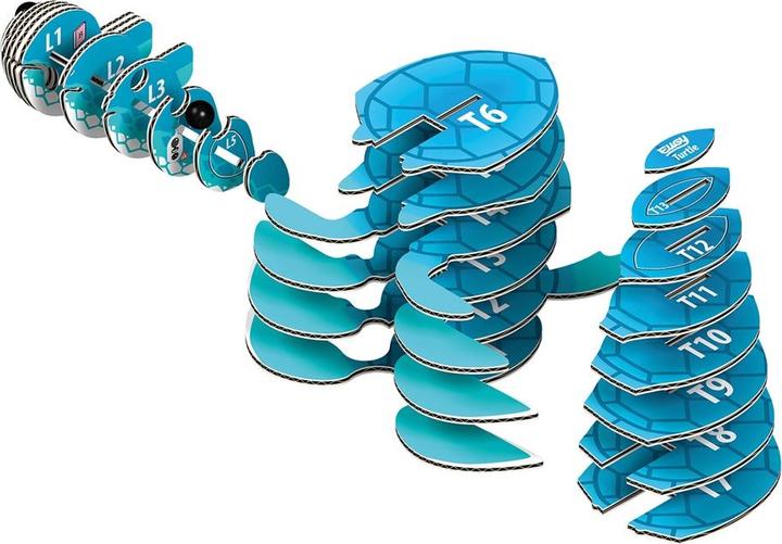 Image du produit Eugy Tortue