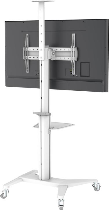 Image du produit PureMounts Chariot TV PDS-0003C DS, blanc (Universel, 70", 70 kg)
