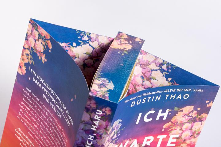 Actual product image Ich warte auf dich, Haru (German, Dustin Tao, 2024)